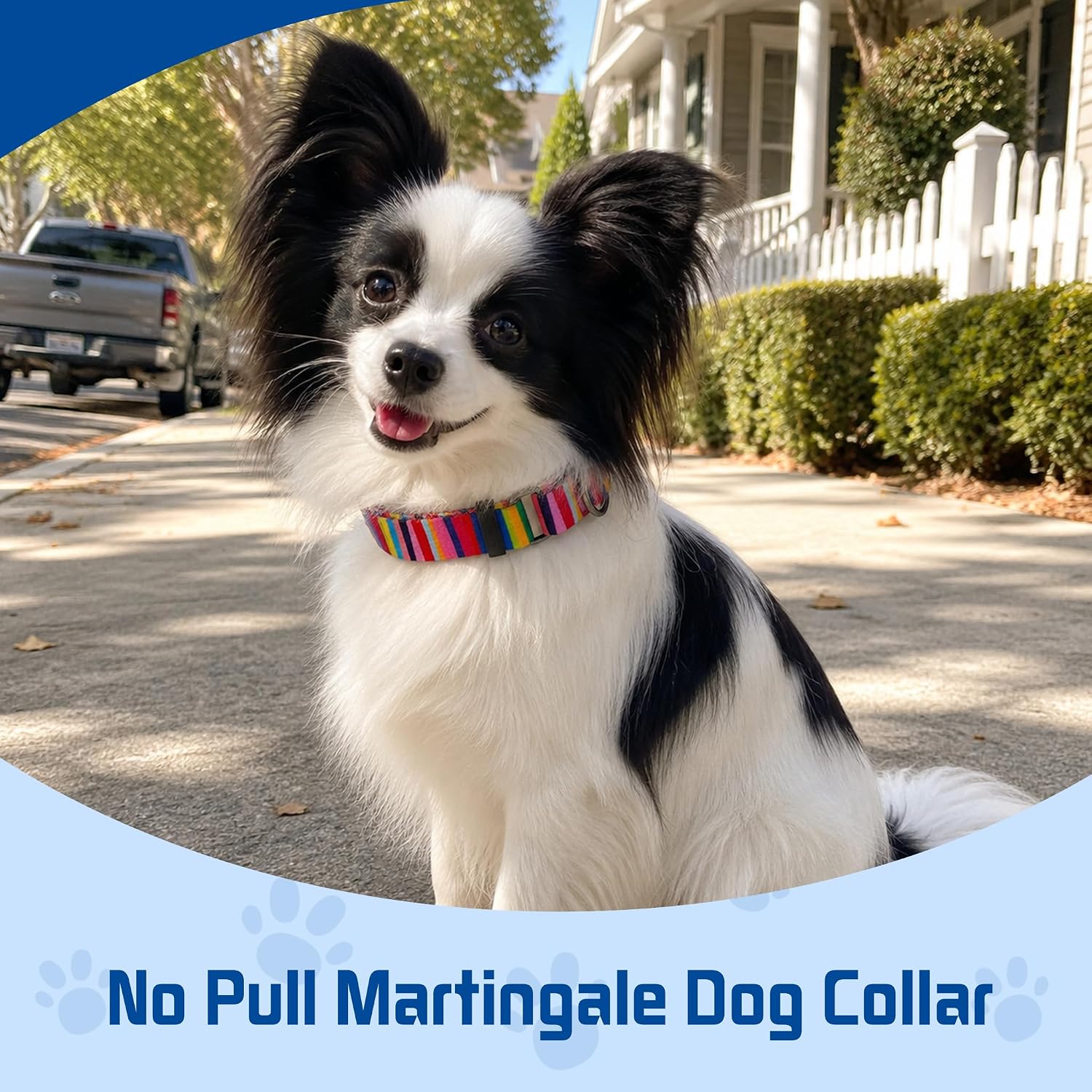 Detalle 2 de Kazazoo Martingale Dog Collar, Size S