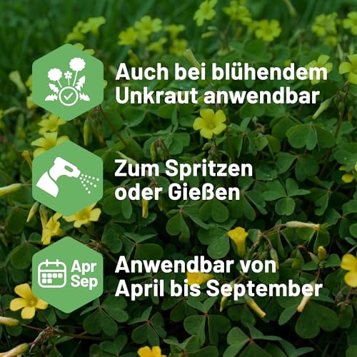 Thumbnail 4 de Substral Celaflor Rasen-Unkrautfrei Weedex 400 ml Konzentrat – systemischer Unkrautbekämpfer für den Rasen