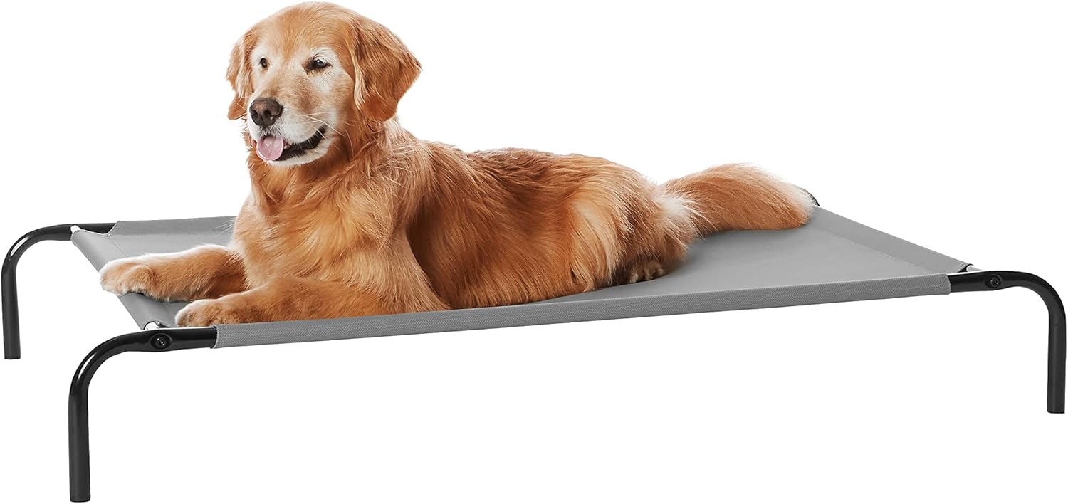 Thumbnail 6 de Amazon Basics Kühlendes erhöhtes Haustierbett Hund, Größe S, Grün