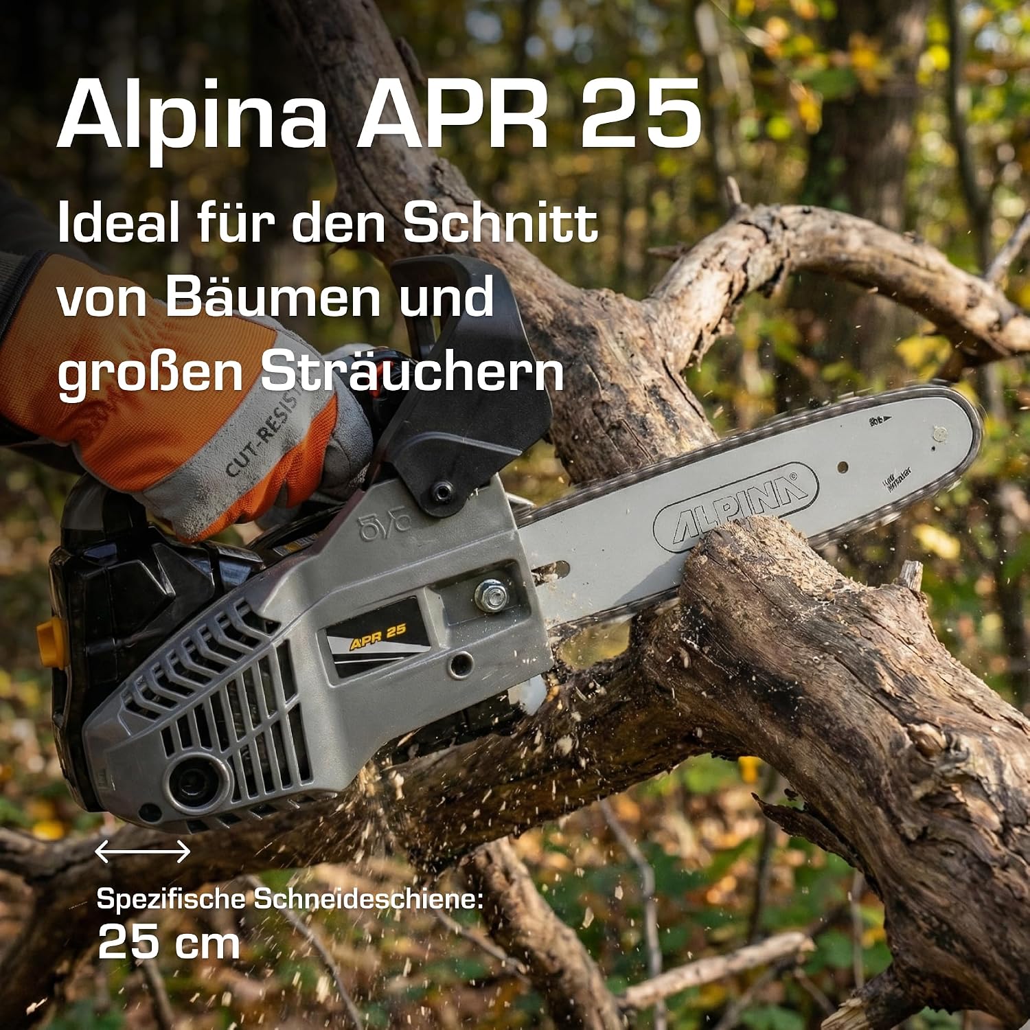 Thumbnail 1 de Alpina APR 25 Motosega da potatura — potenza affidabile per potare alberi e arbusti
