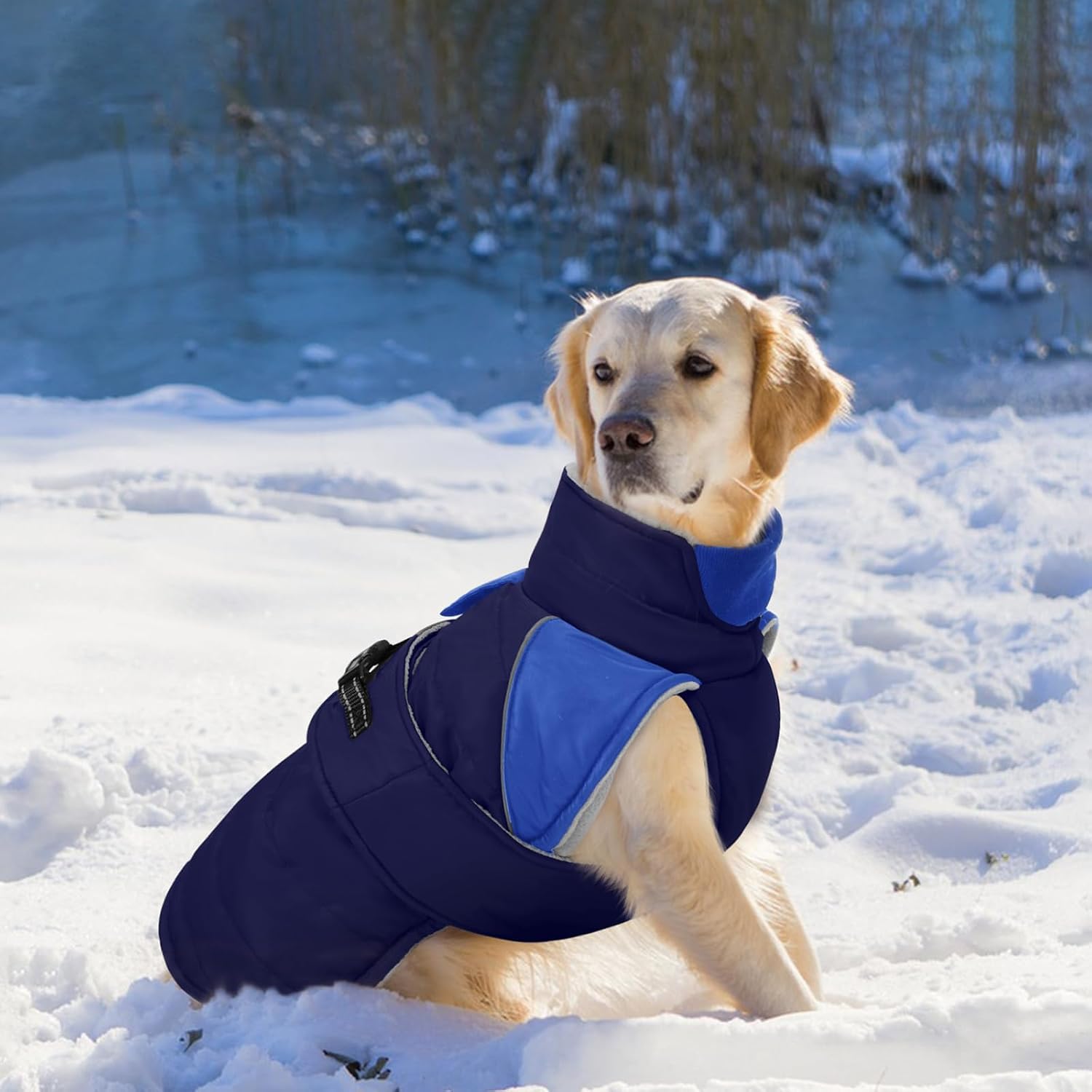 Thumbnail 6 de LeLePet Lelepet Dog Winter Coat waterproof L