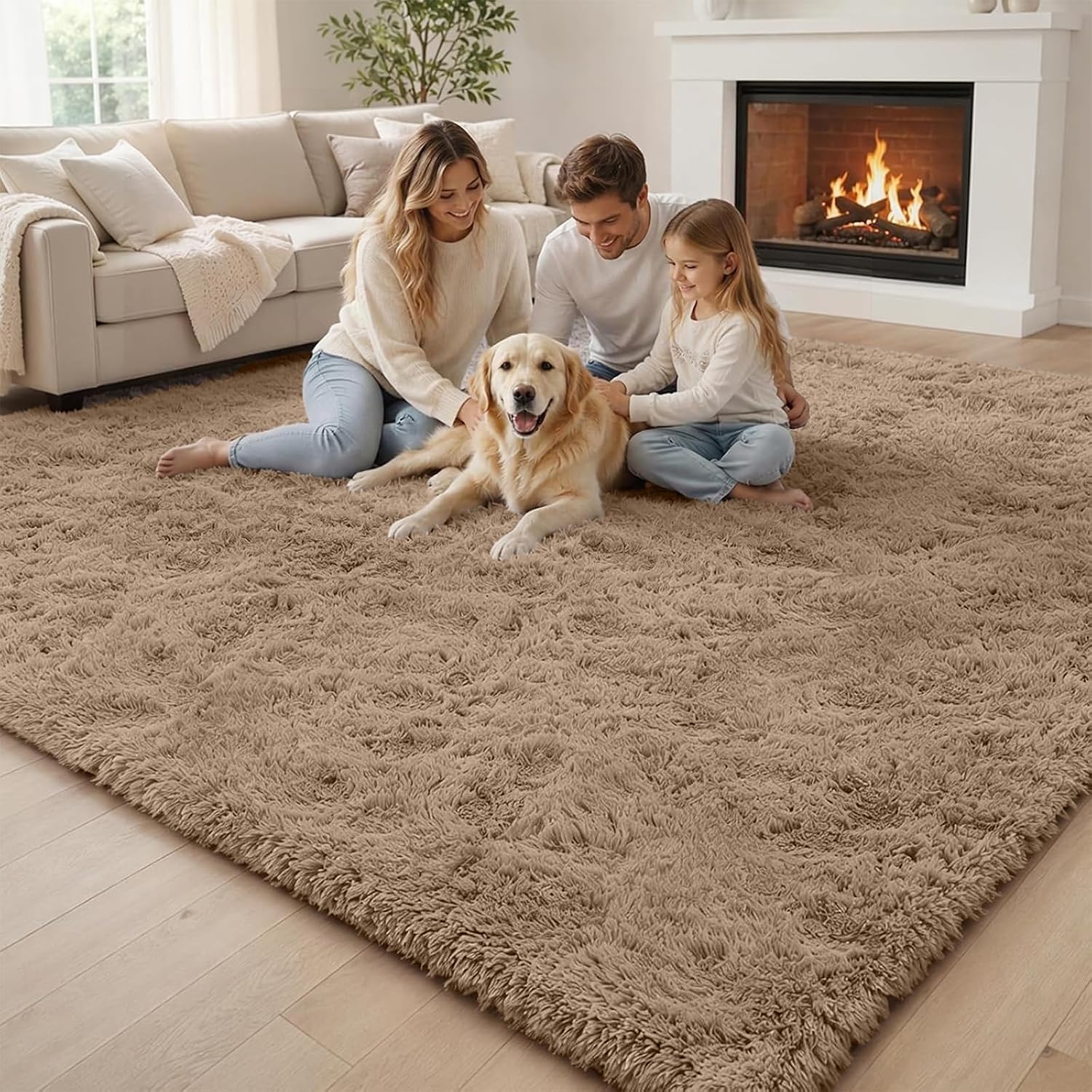 Detalle 2 de 8x10 Beige Shaggy Area Rug 🛋