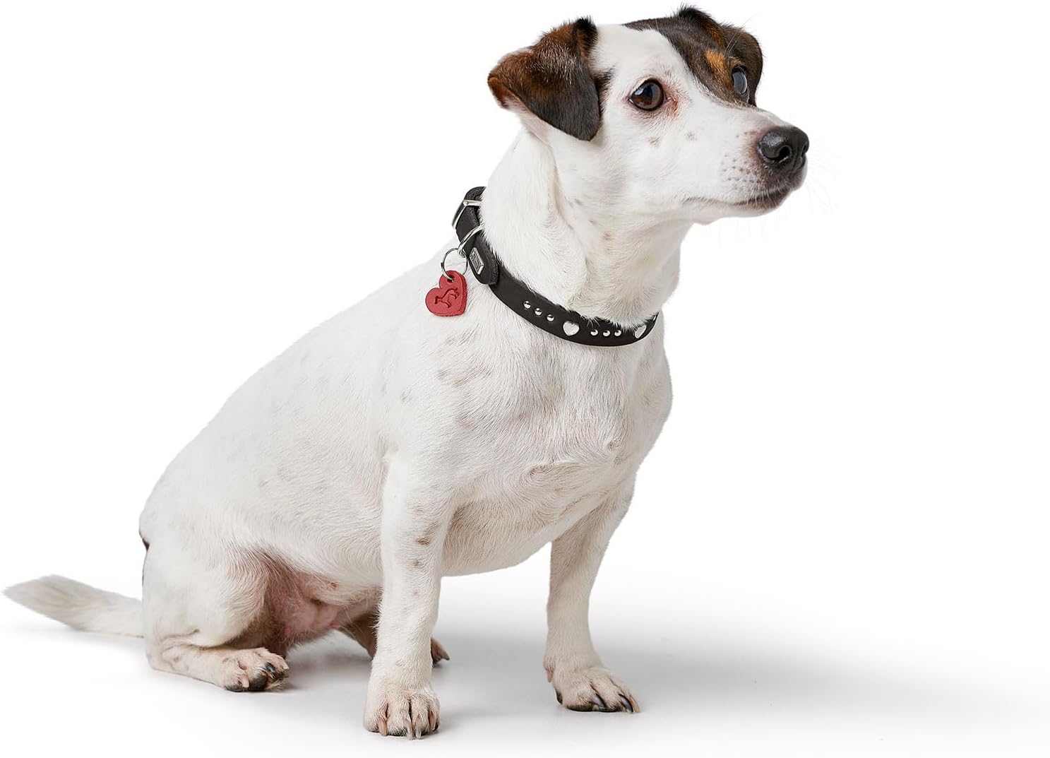 Thumbnail 6 de HUNTER Hundehalsband Aalborg Hearts (Größe 32) – schwarzes Softvollrindleder mit Herz-Details