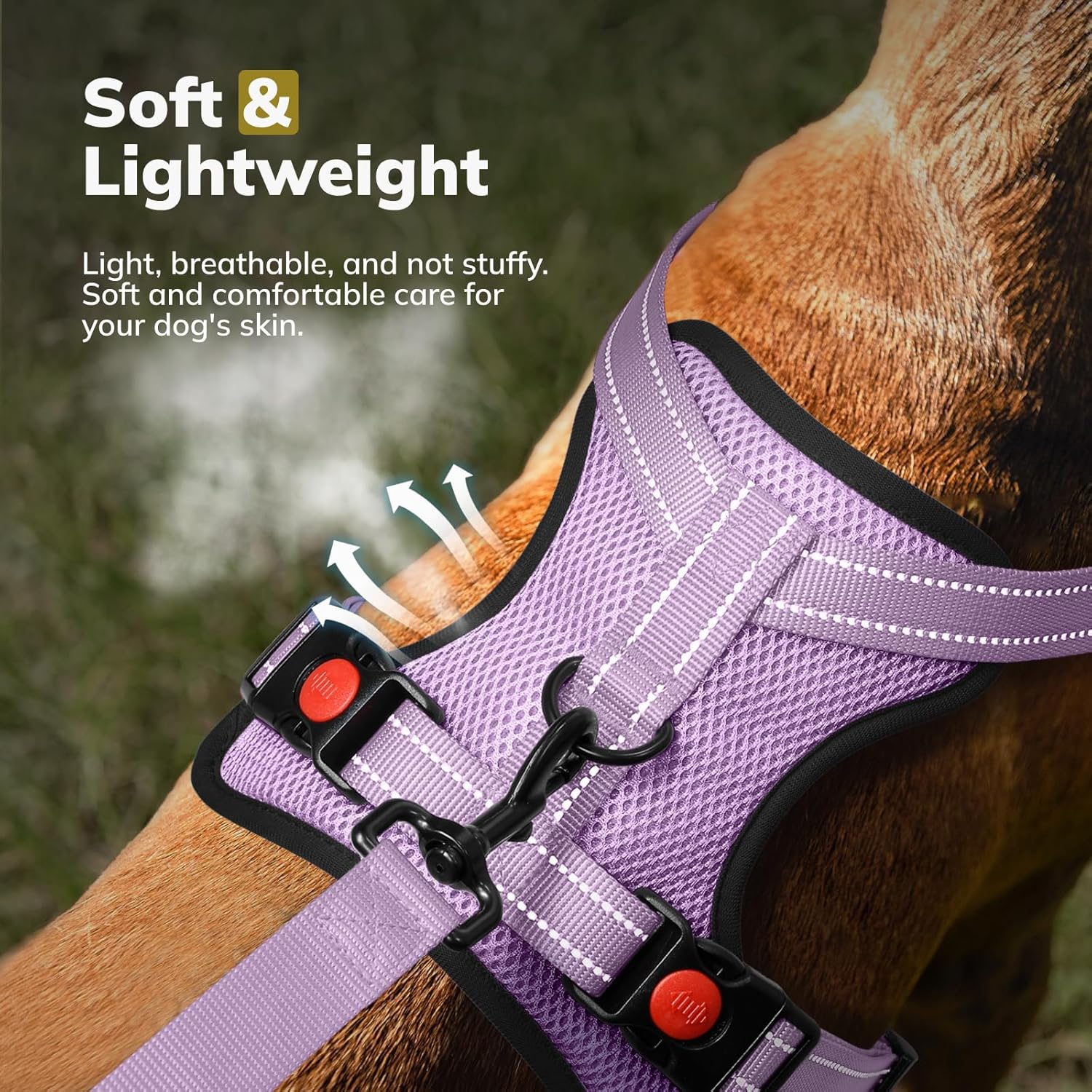 Detalle 2 de FAYOGOO Front Clip Adjustable Reflective Dog Harness & Lead Set – UK Suitable for Small to XL Dogs
