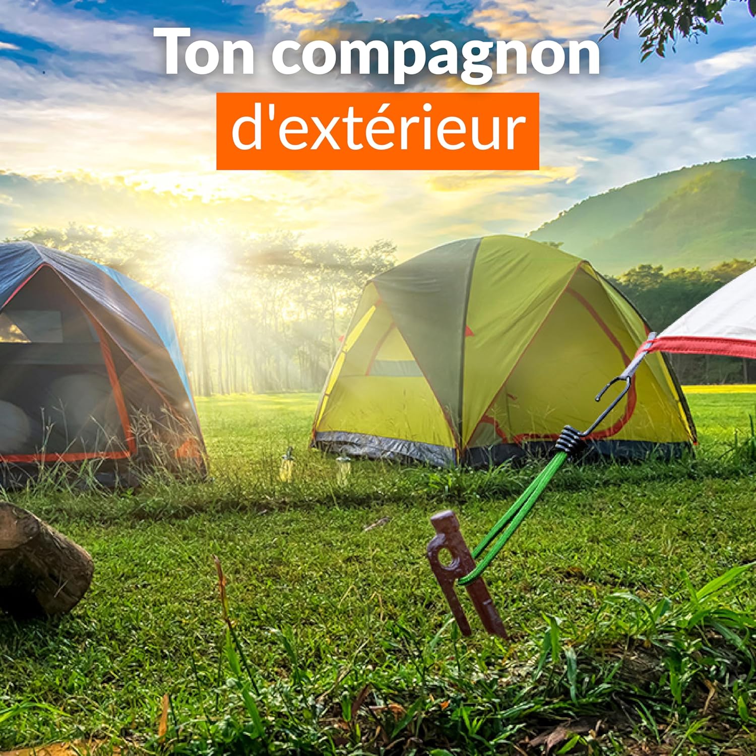 Thumbnail 5 de Tendeurs élastiques 50 pièces 🧰