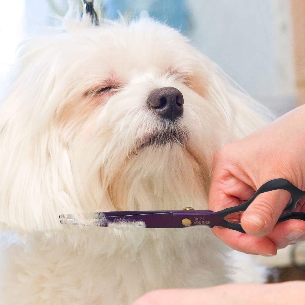Thumbnail 6 de Dream Reach 7" 4-Piece Pet Grooming Shears Set – 2 Curved, Straight & Chunker