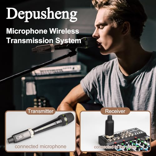 Thumbnail 1 de Depusheng T9: sistema wireless XLR per microfoni dinamici e a condensatore, stabile e versatile