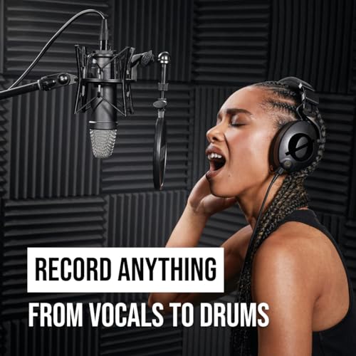 Thumbnail 6 de RØDE NT1 Signature Series Large-diaphragm Condenser Microphone