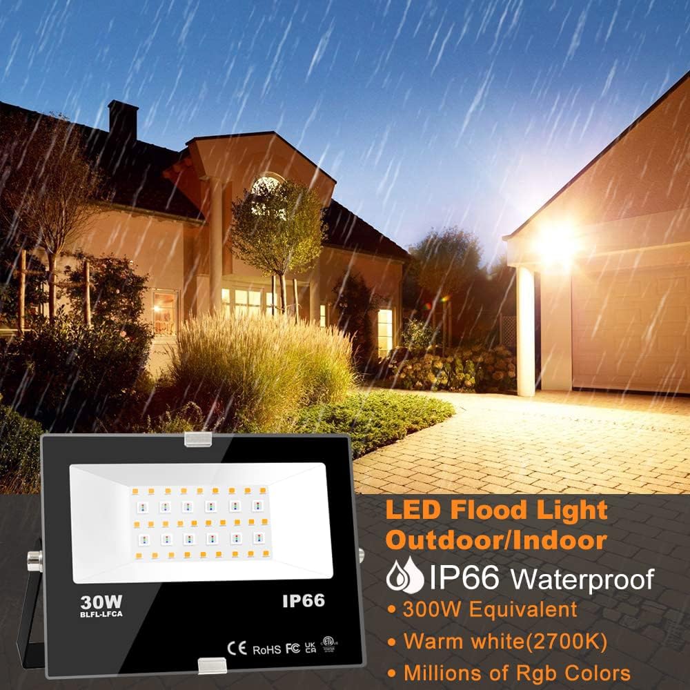 Detalle 2 de MELPO LED floodlight 30W