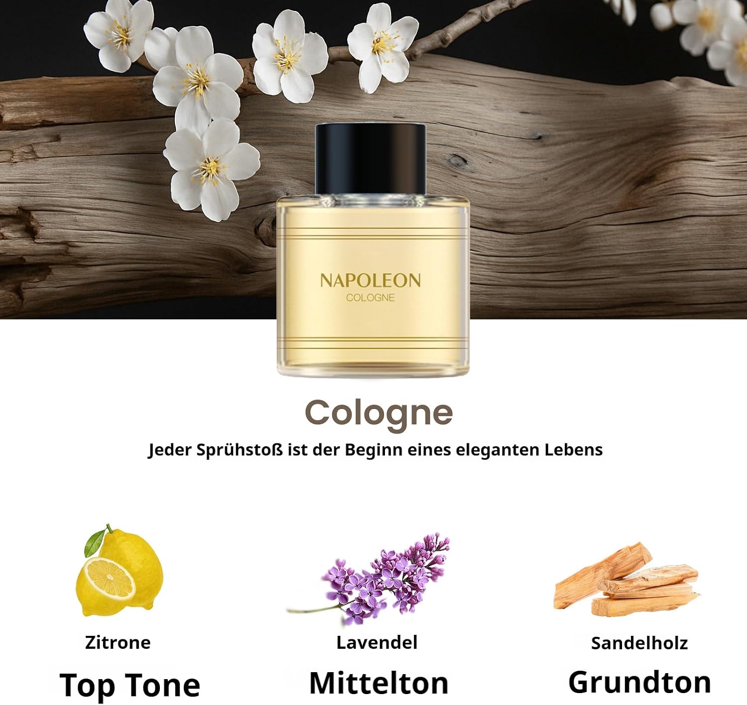 Detalle 2 de Gilt BJ-577 BJ-579 Duft Nachfüllung 50 ml