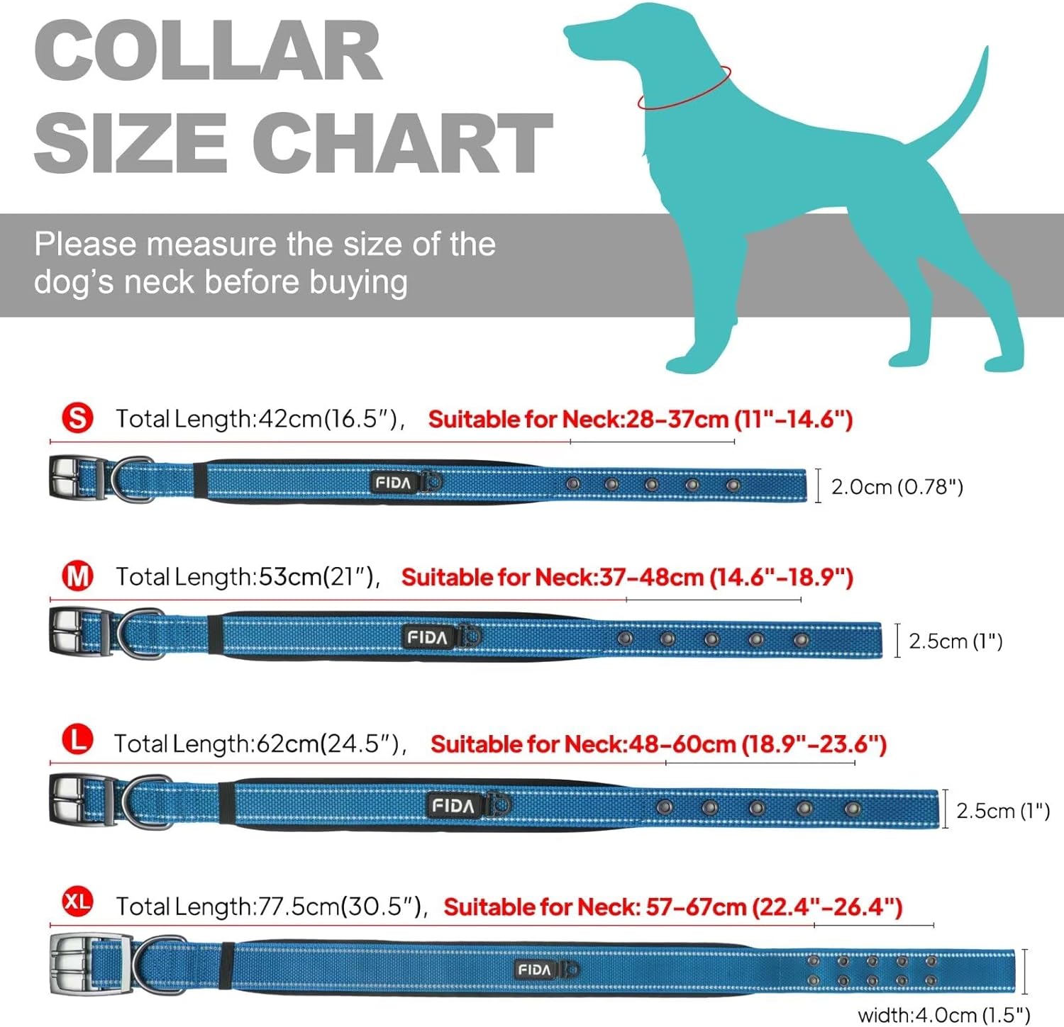 Detalle de Fida Padded Dog Collar with Metal Belt Buckle – Heavy Duty Double-Layer Webbing (Blue)