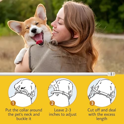 Thumbnail 5 de Inpumo Collar antiparasitario para perros: protección antipulgas y garrapatas hasta 10 meses, impermeable y ajustable