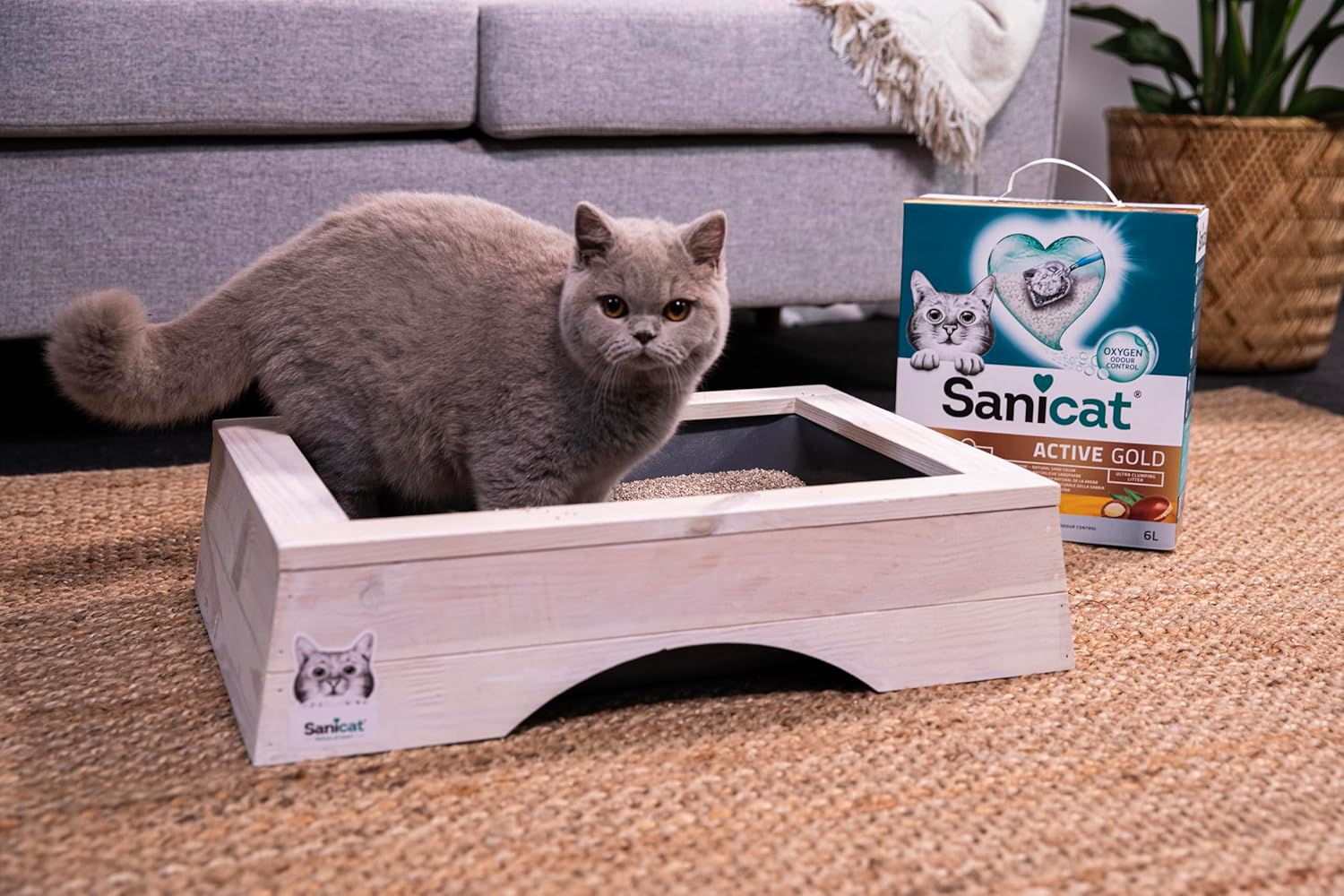 Thumbnail 4 de Sanicat Lettiera per gatti Active Gold agglomerante, profumazione all'argan, 6L