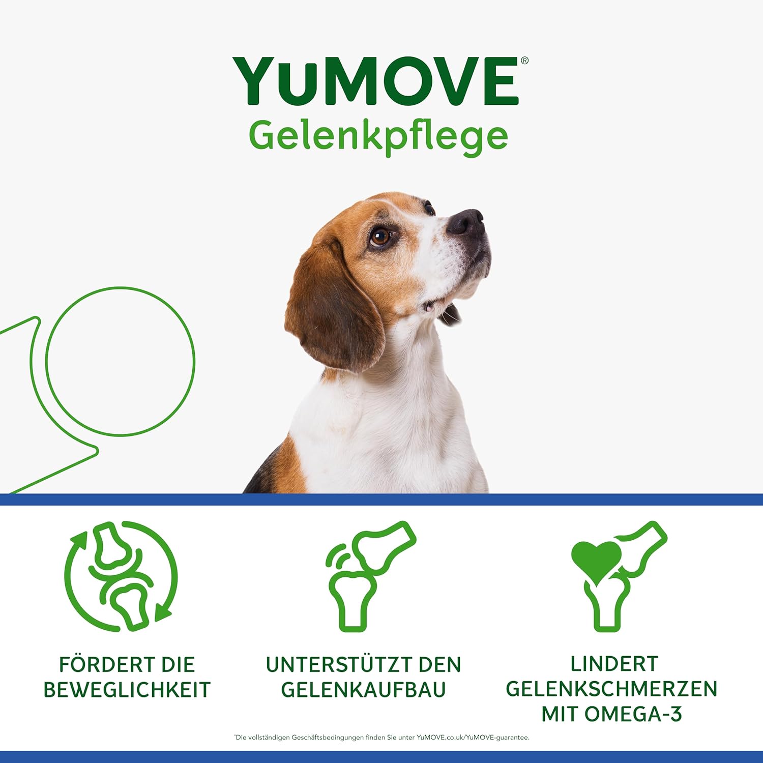 Thumbnail 3 de YuMOVE Gelenktabletten Hund 120 Stück (8+ Jahre) mit ActivEase Grünlippmuschel, Glucosamin & Omega-3