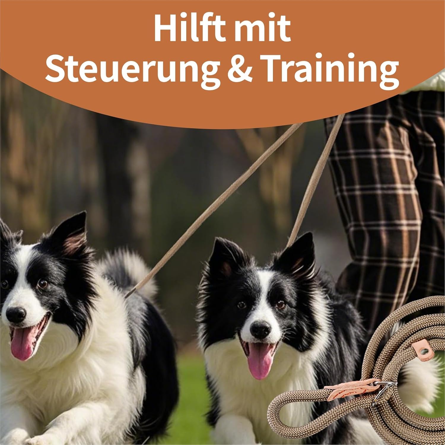 Thumbnail 6 de Retrieverleine mit Zugstopp, 180 cm – integriertes Halsband, wetterfest, verstellbar