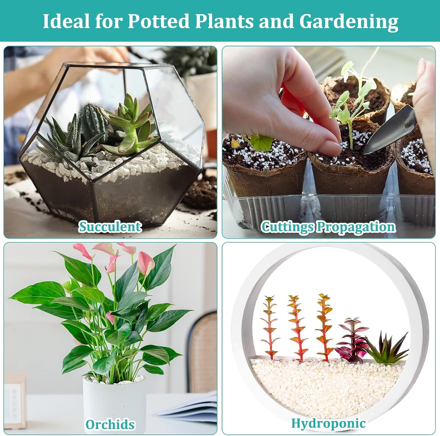 Detalle 2 de Legigo Horticultural Perlite for Indoor Plants, Coarse Aeration & Drainage Amendment