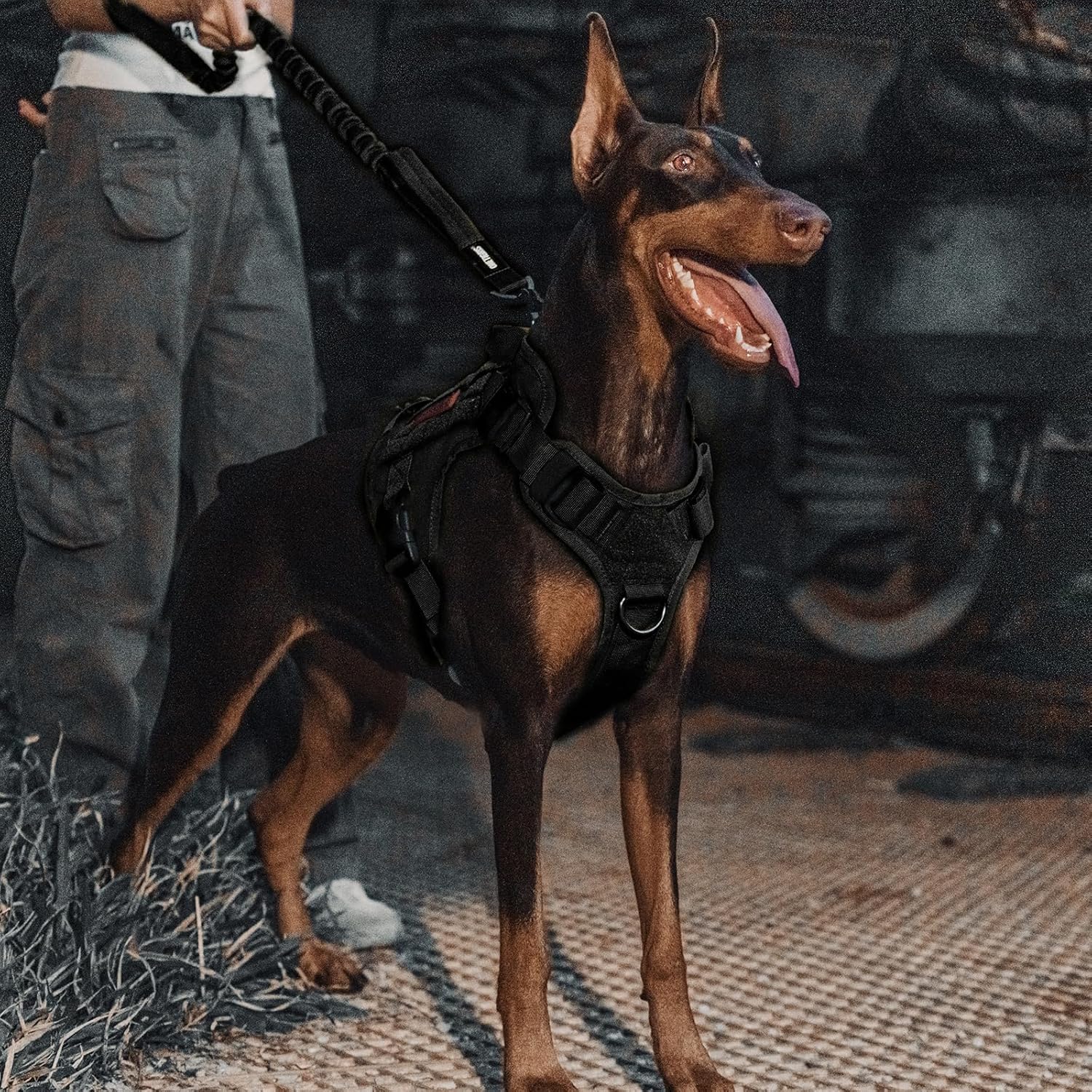 Detalle de OneTigris Laisse pour chien à ressort 86–120 cm en nylon avec clip tigre et double poignées – Noir