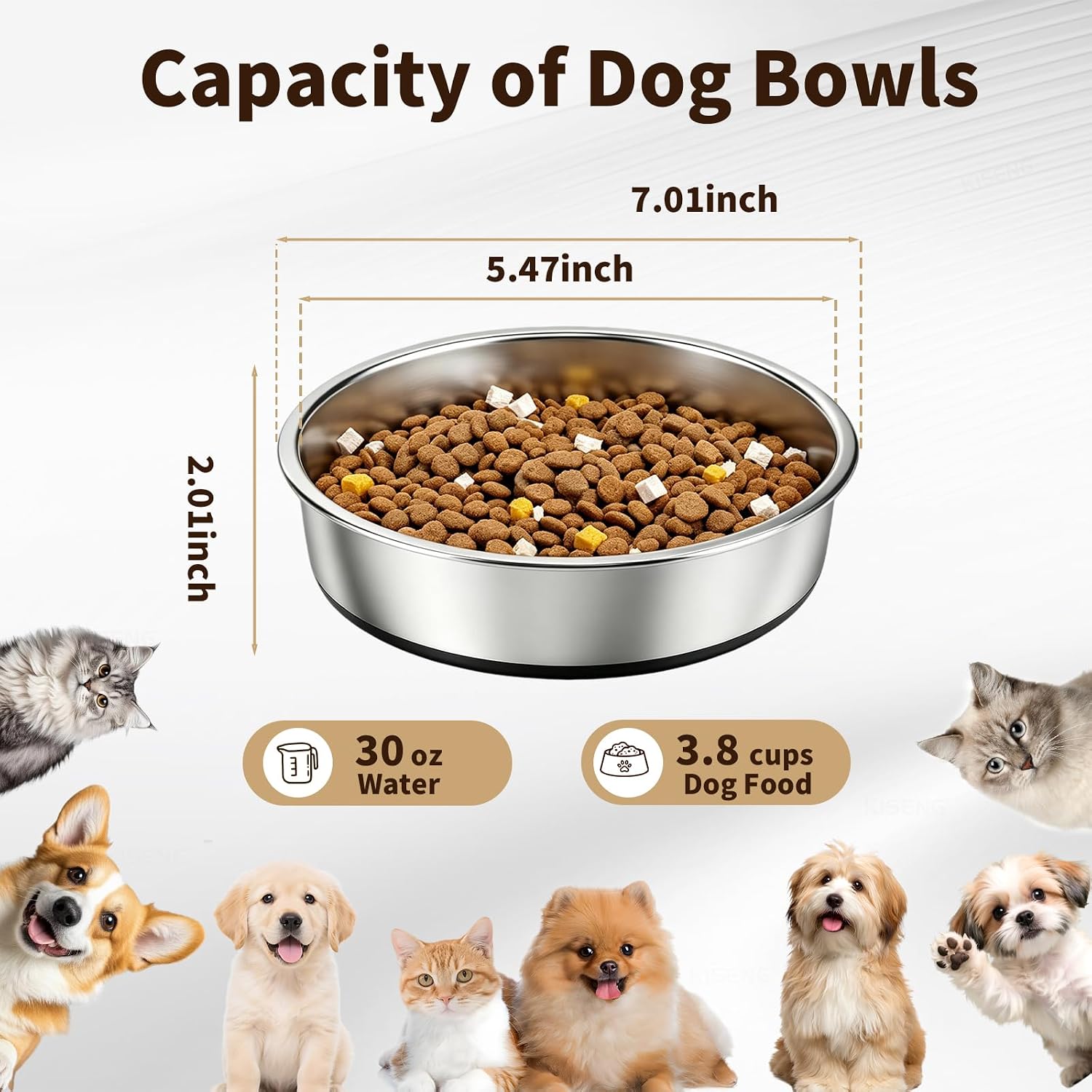 Thumbnail 3 de KISENG KISENG-BB-P-15 Stainless Steel Dog Bowls, 3.8-Cup, 2-Pack