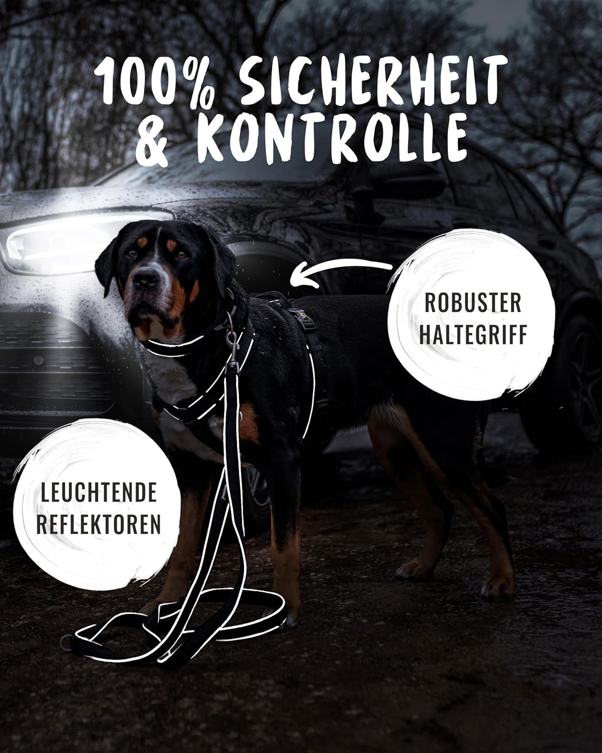 Detalle 2 de Rudelkönig Paola Reflektierendes Hundegeschirr mit Haltegriff – Y-Design, verstellbar, geeignet für kleine bis mittelgroße Hunde
