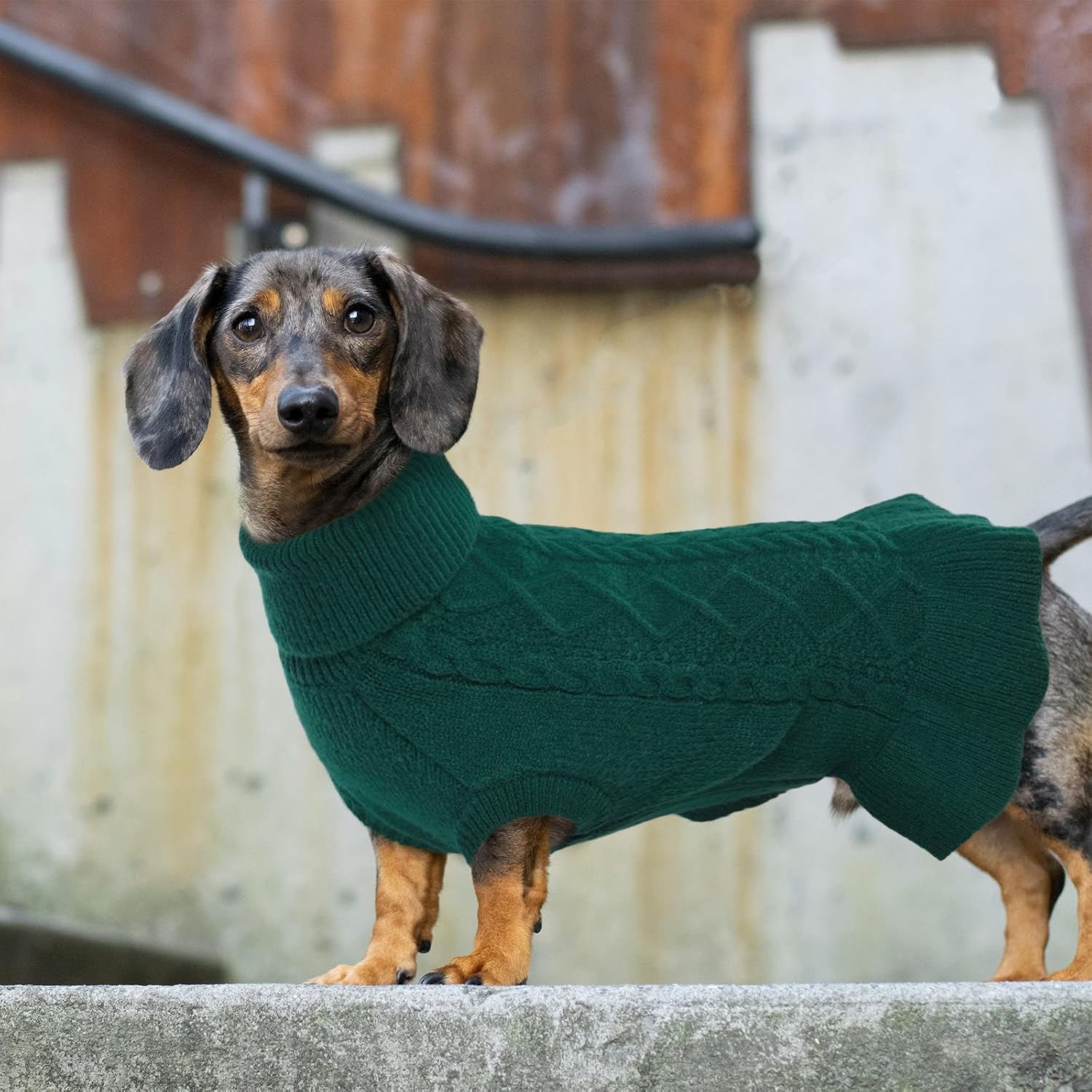 Thumbnail 6 de Lelepet XS Dog Sweater Dress