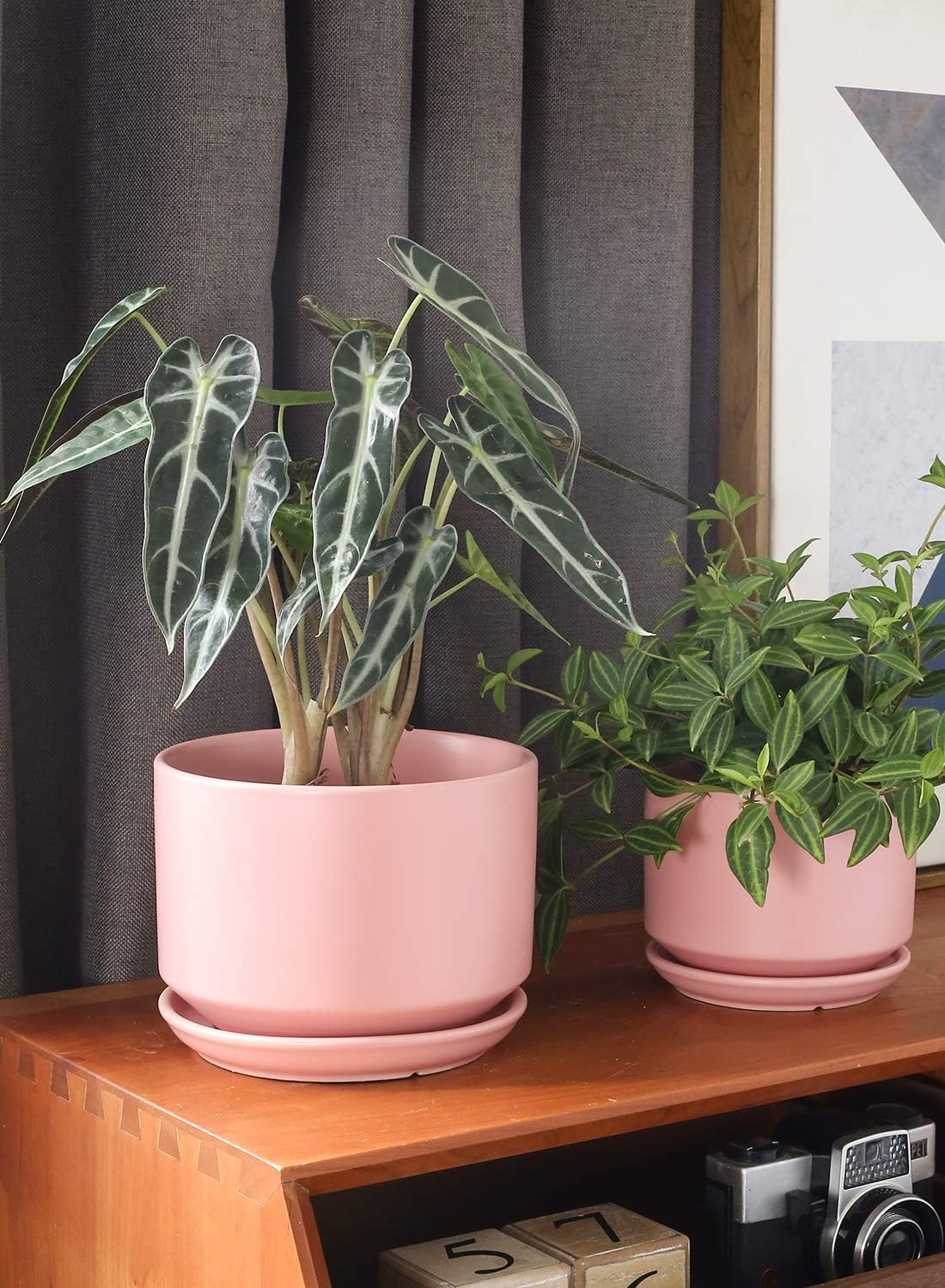 Detalle de LE TAUCI 11/13/17 cm Ceramic Plant Pots Set of 3 with Drainage Holes and Saucer