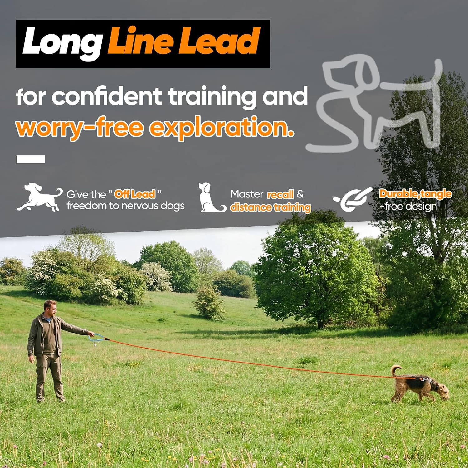 Detalle 2 de Aystkniet Reflective Training Lead for Dogs 30M