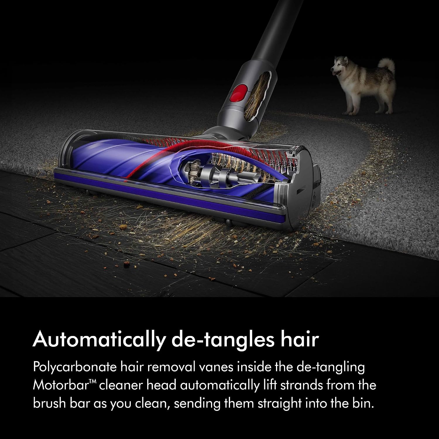 Detalle de Dyson V8 Origin Cordless Vacuum Cleaner review (2026) – lightweight, versatile cleaning