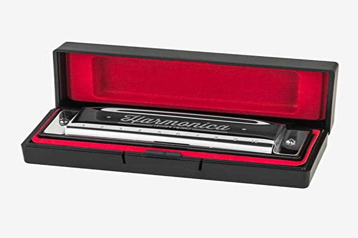 Detalle de LEGAMI harmonijka diatoniczna w tonacji C, metalowa, srebrna
