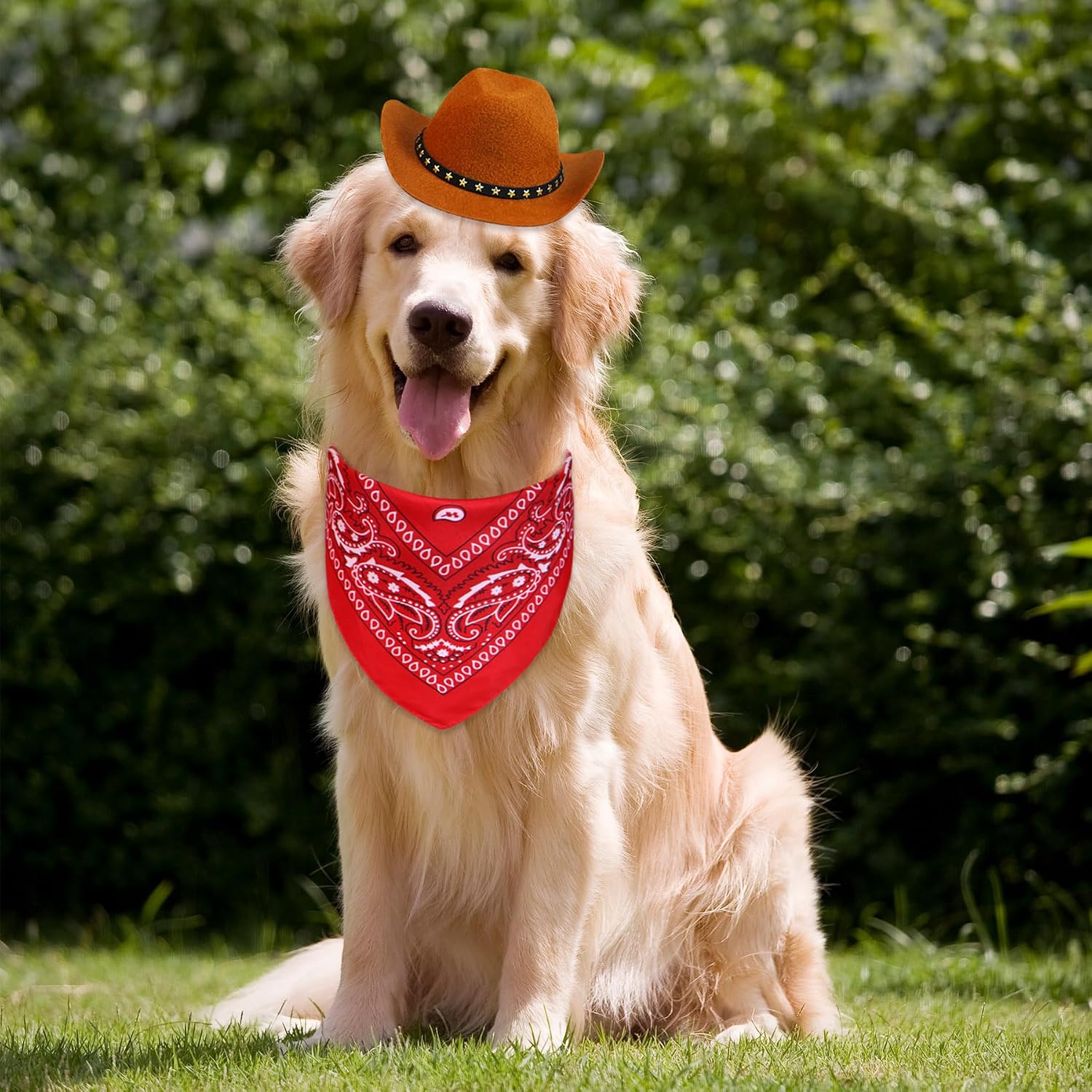 Detalle 2 de PAYHTOW Dog Cowboy Costume, Large
