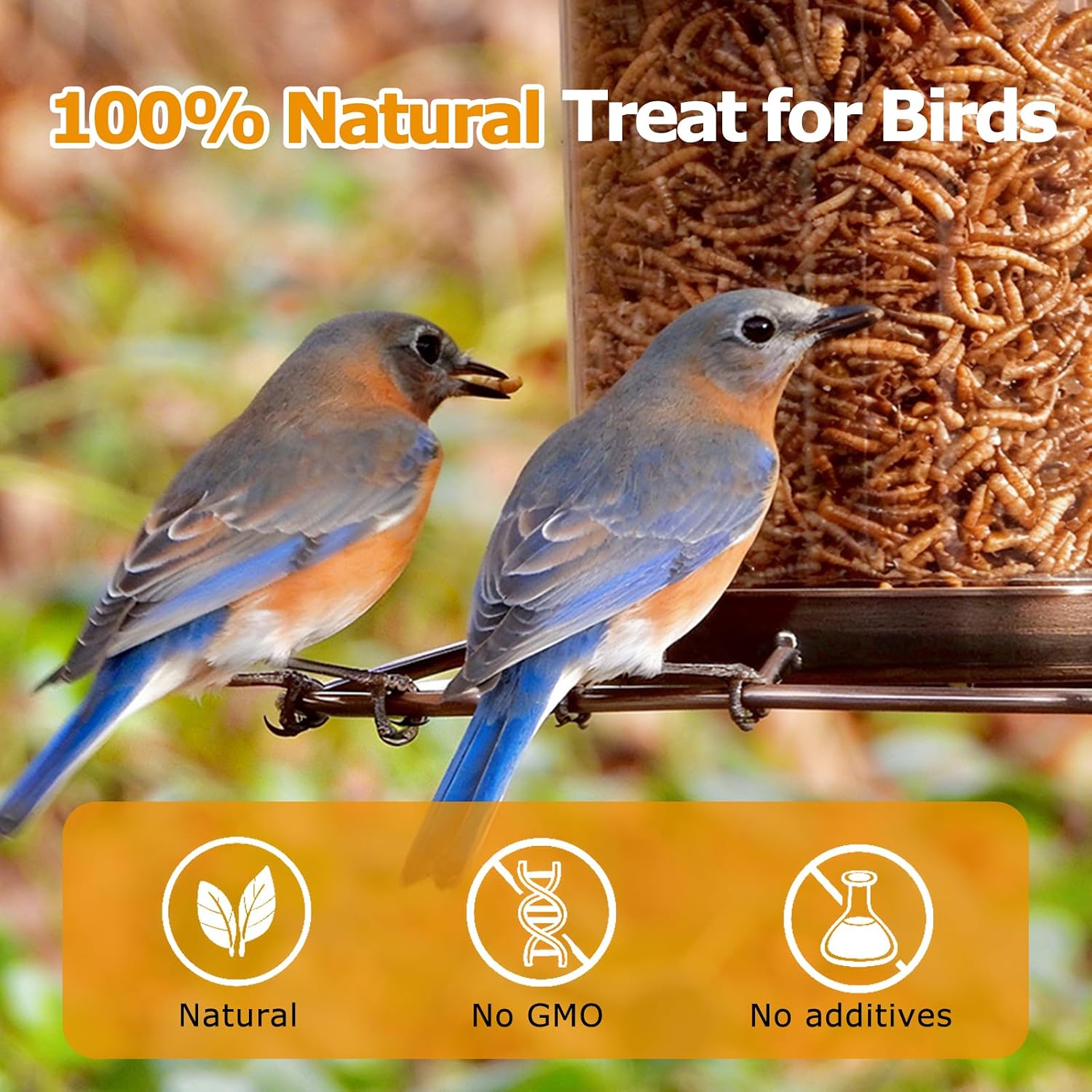 Detalle de HATORTOP 10LB Dried Mealworms for Chickens and Wild Birds, Non-GMO
