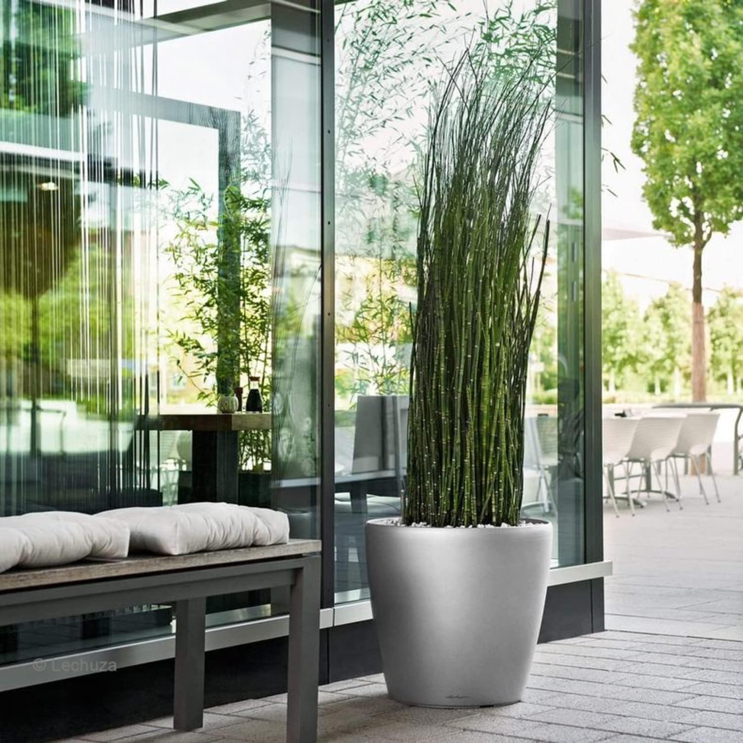 Detalle 2 de LECHUZA CLASSICO Premium 60 anthrazit metallic – Selbstbewässernder Pflanzkübel mit 12 l Topfvolumen