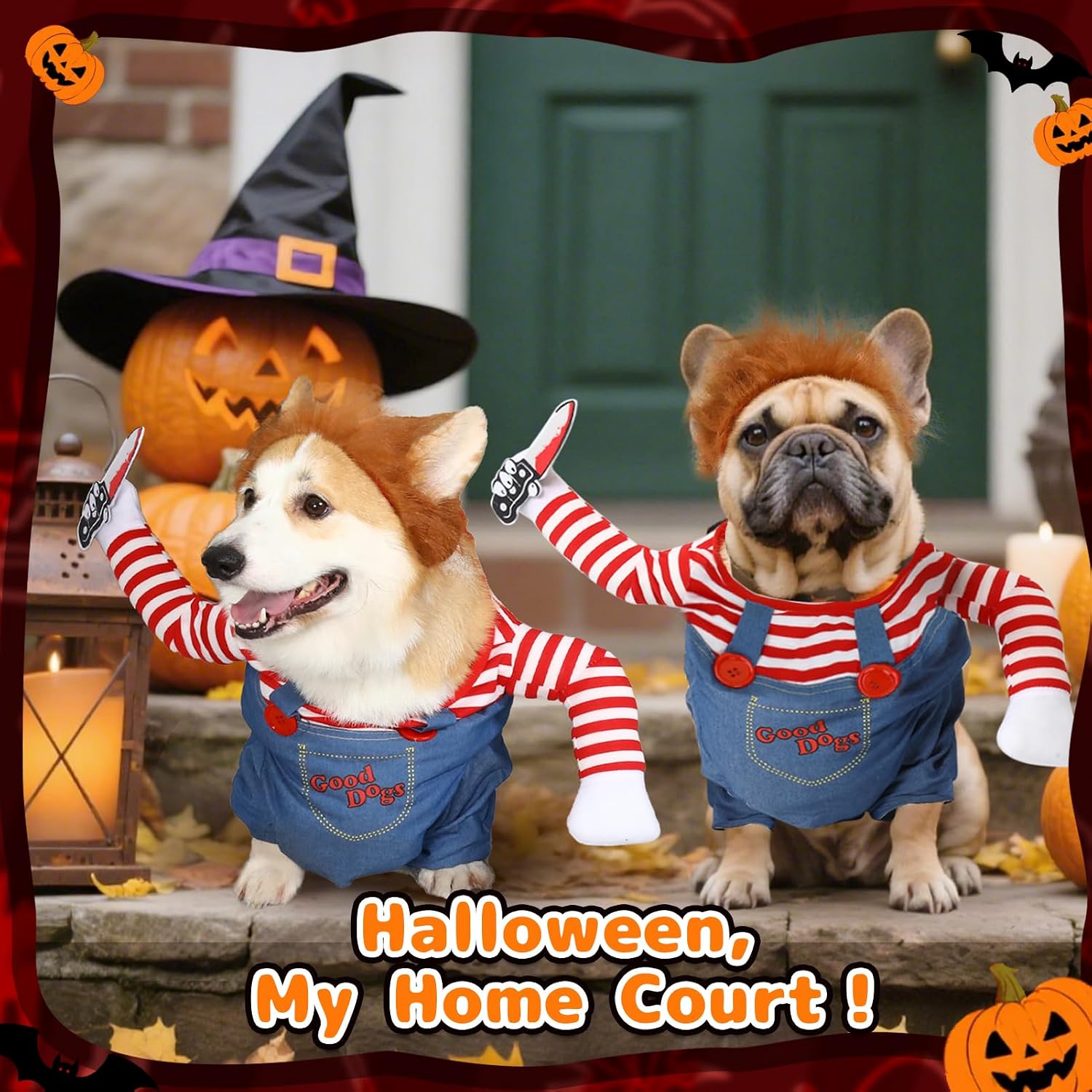 Detalle 2 de T2Y Dog Costume, Denim
