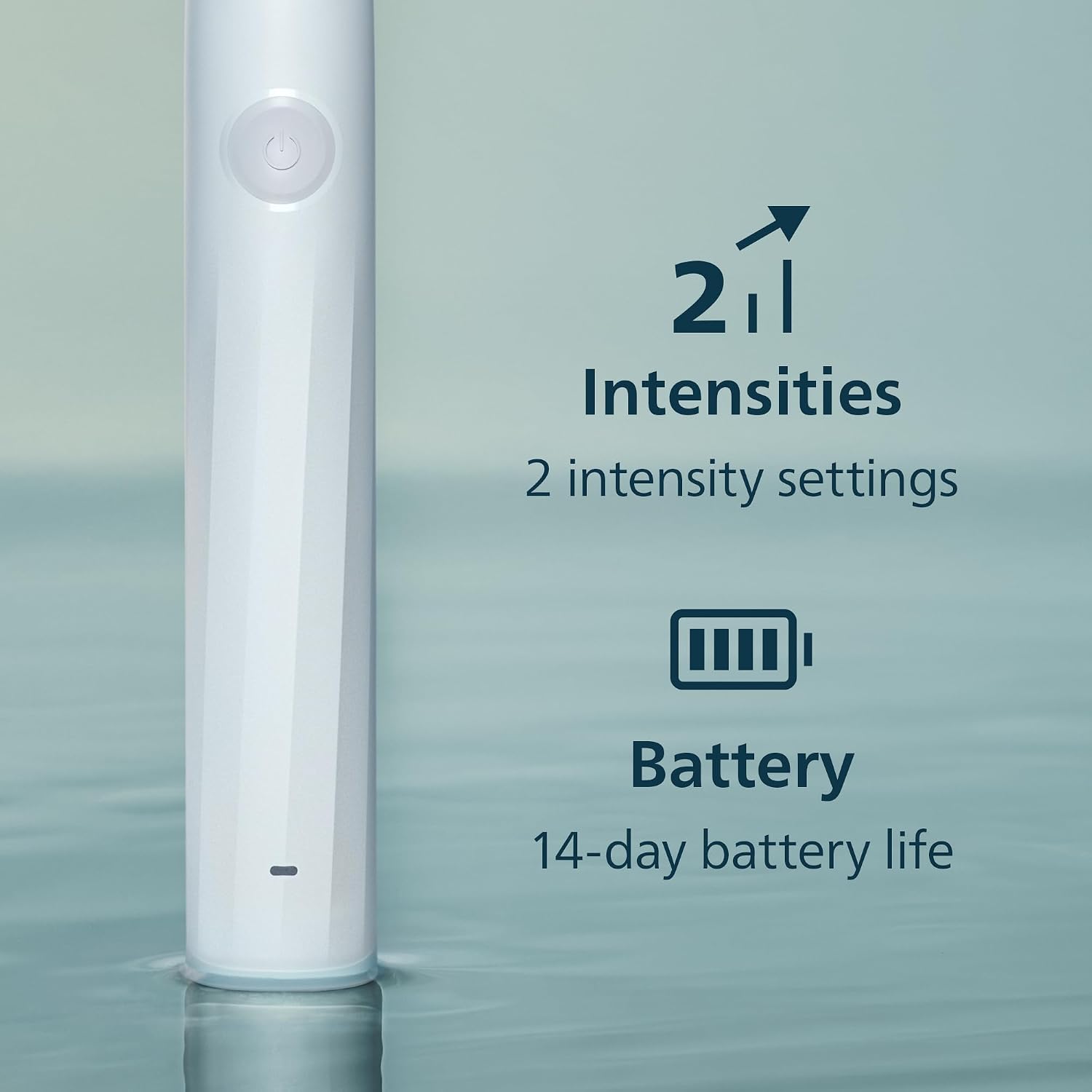 Detalle de Philips Sonicare HX4021/01 electric toothbrush