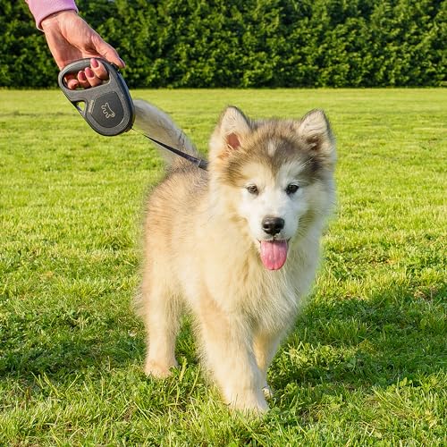 Detalle de Ferplast Flippy One laisse chien 4 m