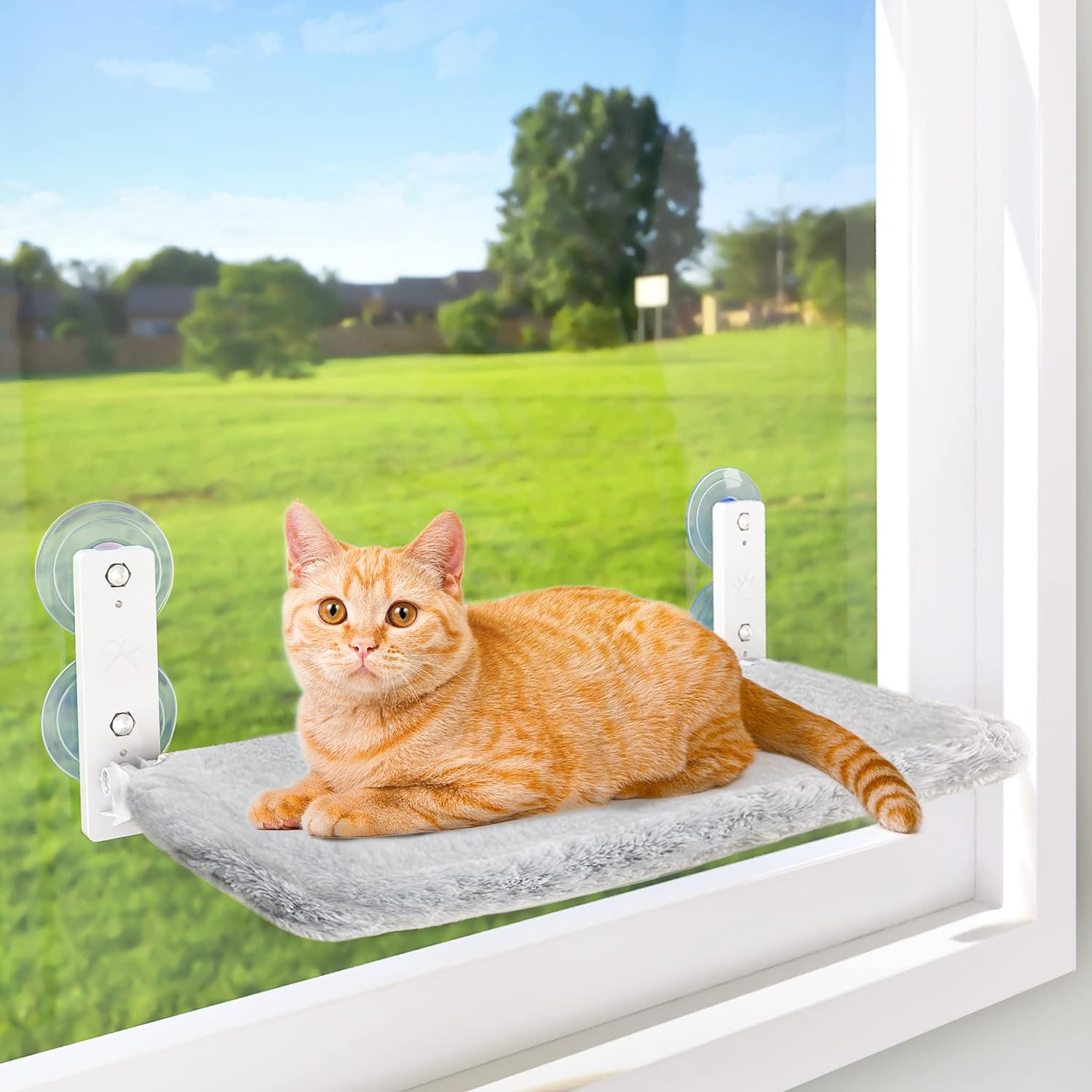 AMOSIJOY Cordless Cat Window Perch 30 lbs 🐱