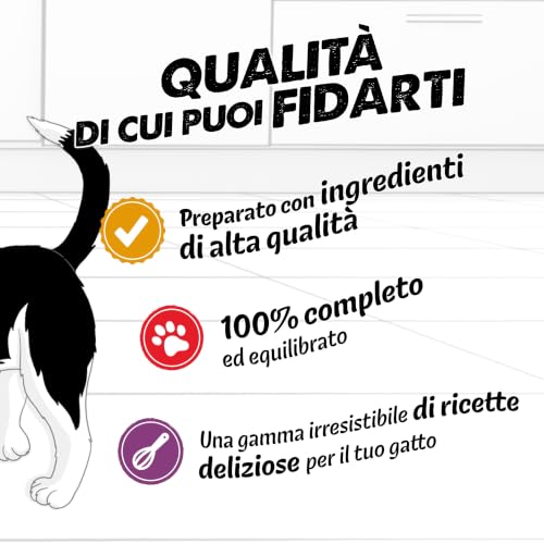 Detalle 2 de Felix Le Ghiottonerie Junior: Cibo Umido per Gatti, 48 Bustine da 85 g – Mix