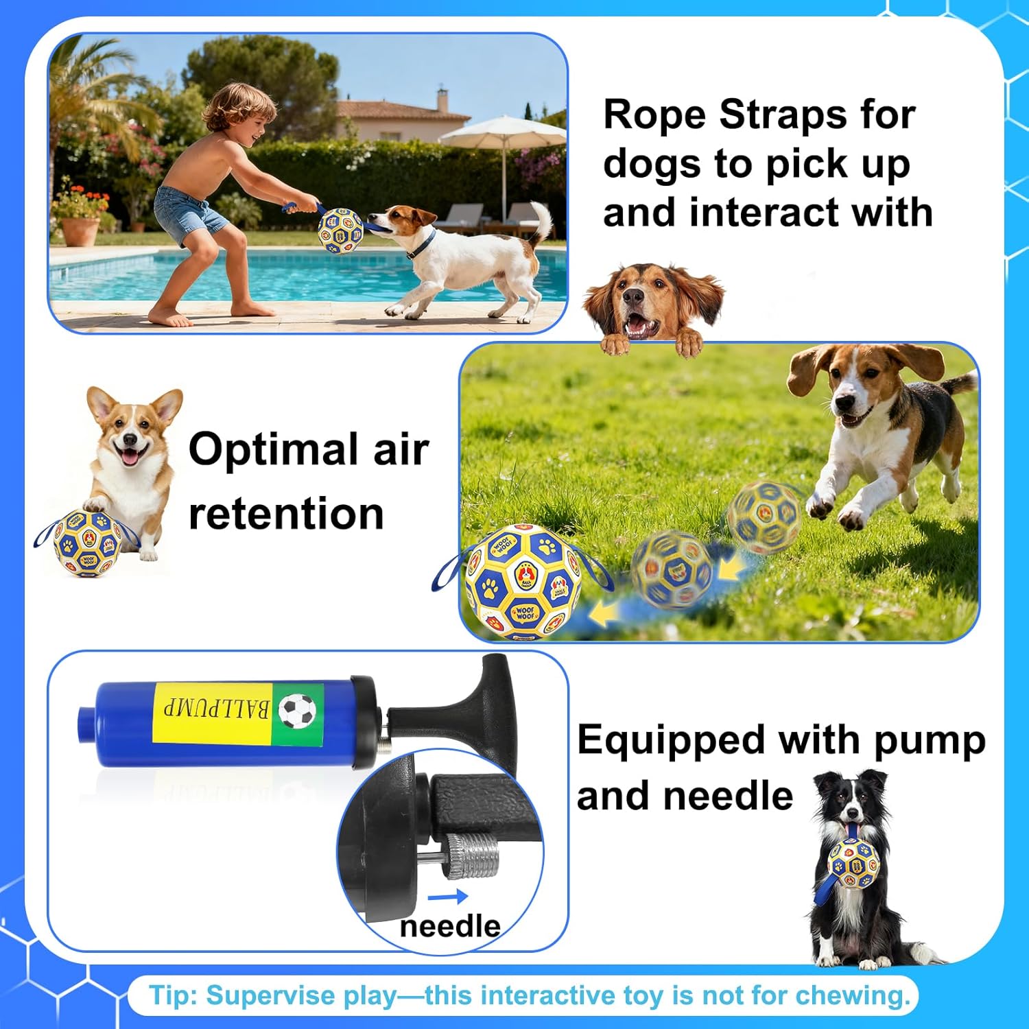 Thumbnail 5 de Vivifying Interactive Dog Ball 15.24 cm
