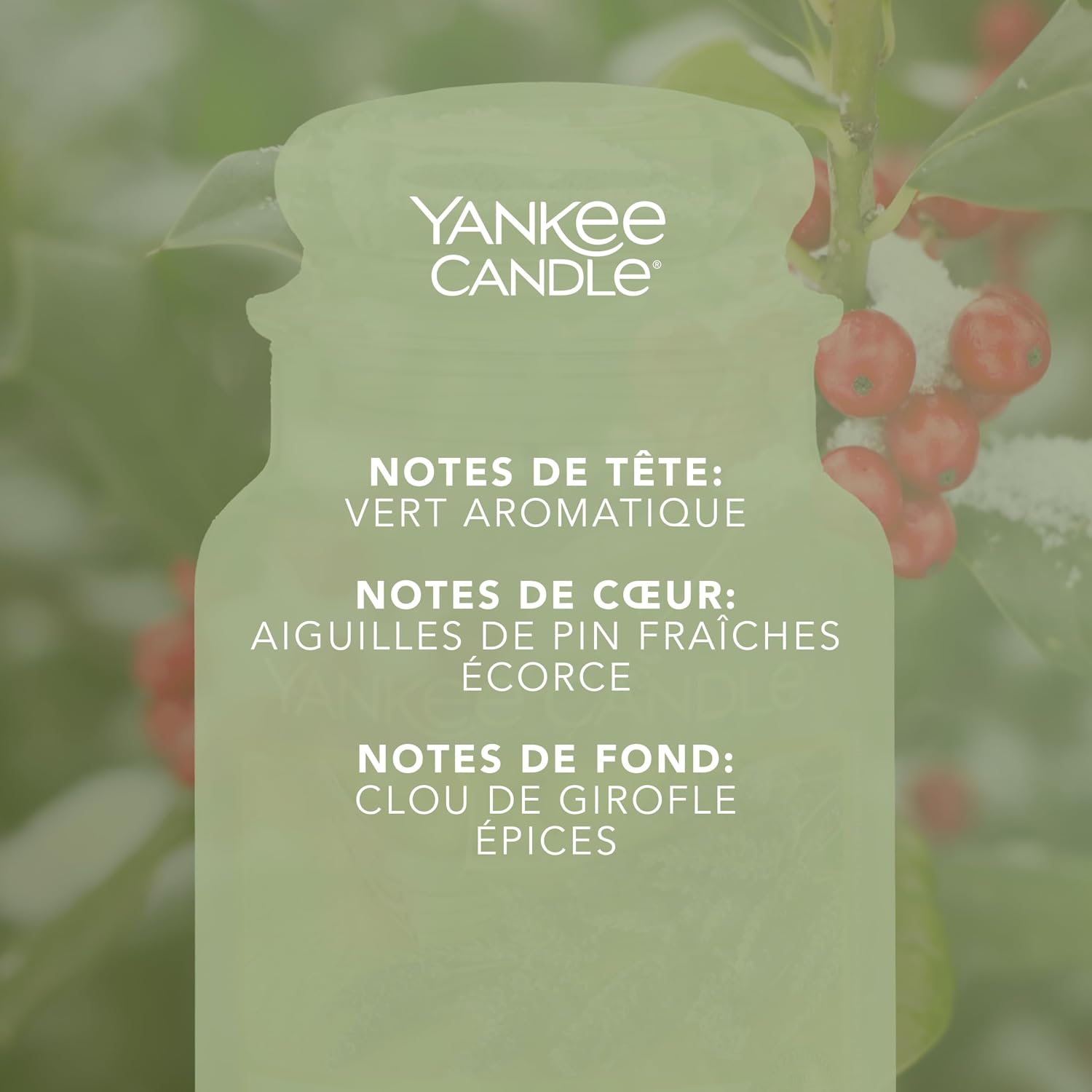 Detalle de Yankee Candle Sous le gui 623 g 🕯