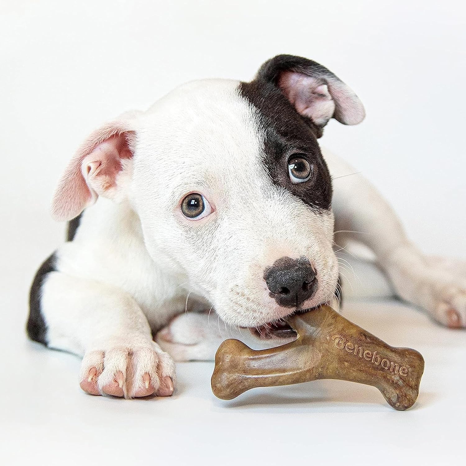 Detalle de Benebone Boîte Cadeau Indestructible à mâcher pour Chiot – Lot de 4 jouets Benebone