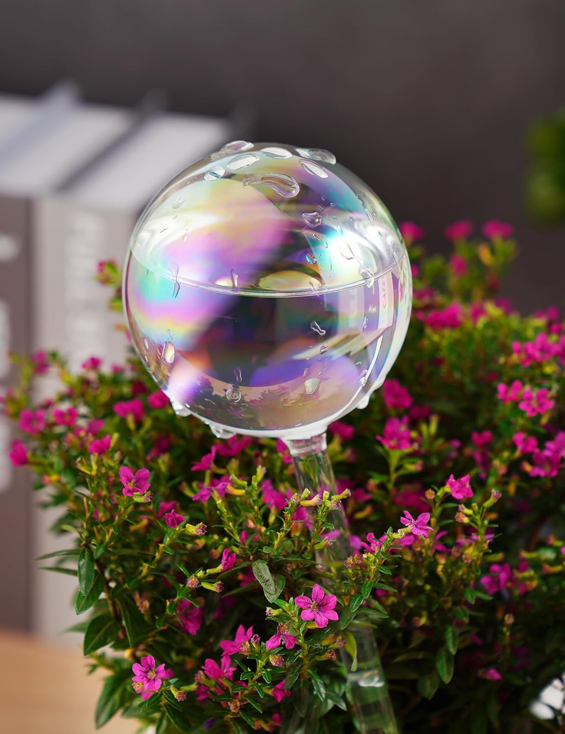 Thumbnail 1 de Tomorotec Iridescent Glass Self Watering Globes 4-Pack (2 Large + 2 Small)