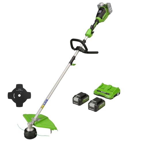 Greenworks GD24X2TX Recortadora 24V, 40 cm