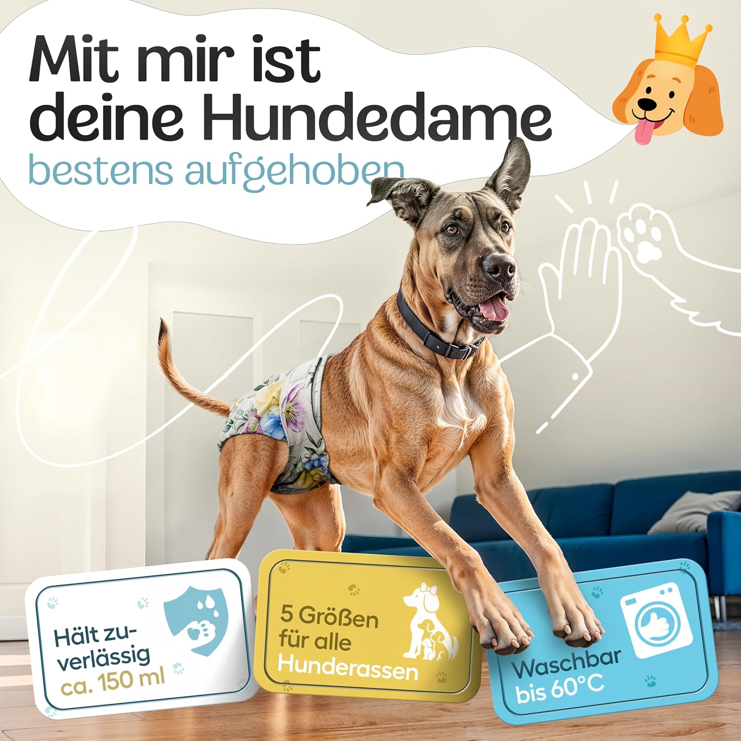 Thumbnail 1 de HUND IST KÖNIG Hundewindeln für Hündinnen (3 Stück) – hochabsorbierende Läufigkeitshose mit 3-Fach Justierung