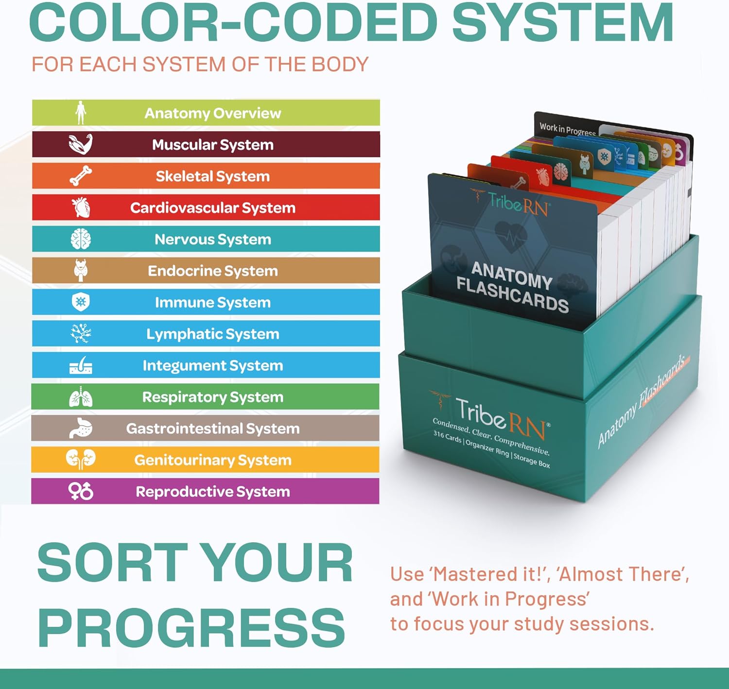 Detalle de TribeRN Anatomy & Physiology Flash Cards (320 Study Resources) for Nursing and Pre-Med Exams