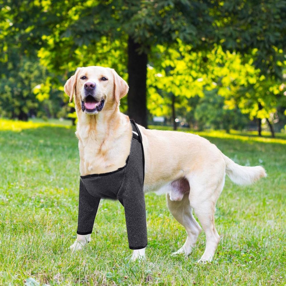 Thumbnail 6 de DONGKER Dog Elbow Protector for Front Leg Recovery – Breathable, Reusable Sleeve