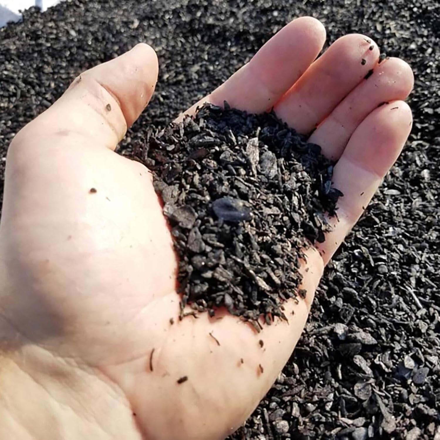 Thumbnail 6 de Plantonix Char Bliss Organic Biochar Soil Amendment, 8 Quarts, OMRI-Listed