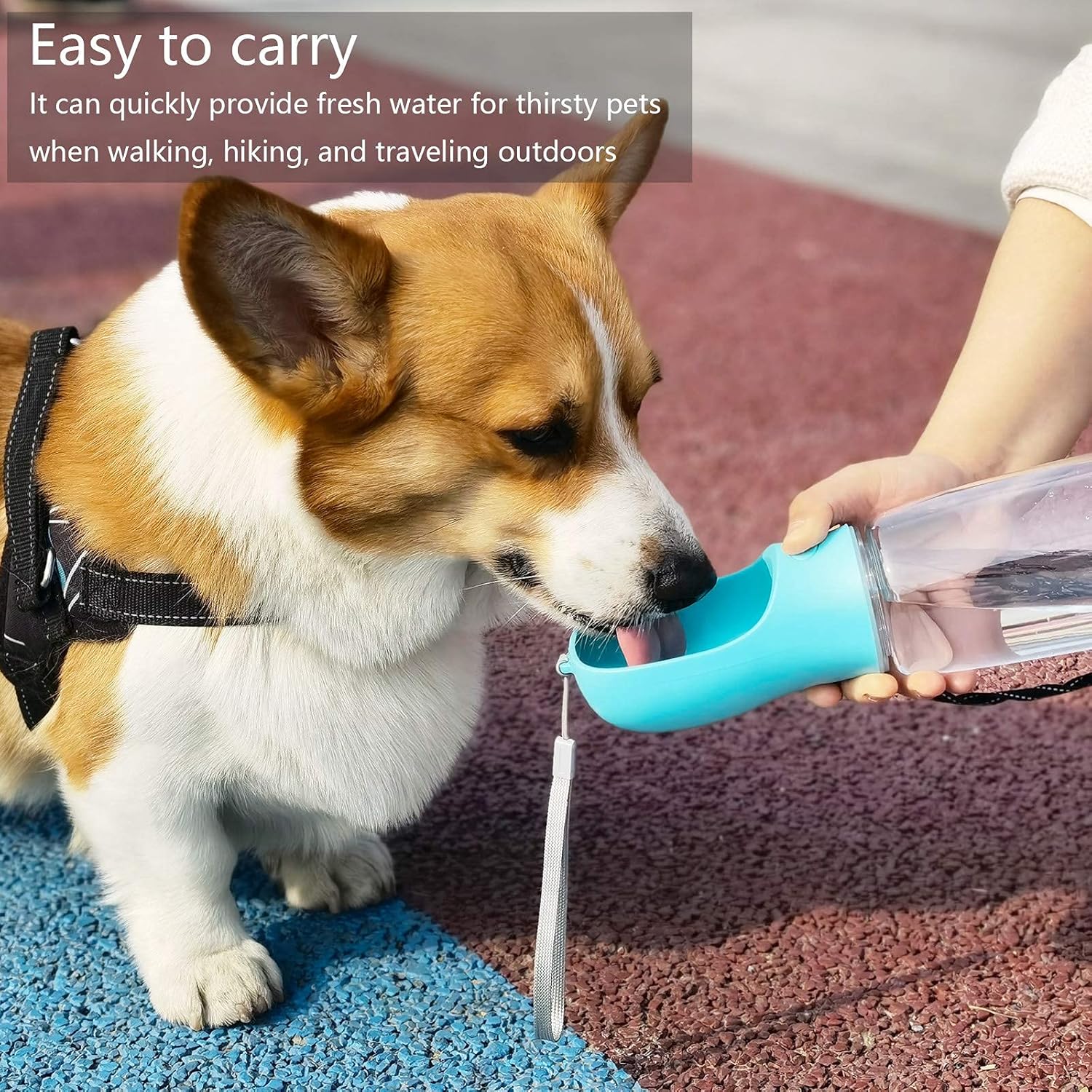 Detalle 2 de 550ml Antibacterial Dog Water Bottle Leak‑Proof 💧