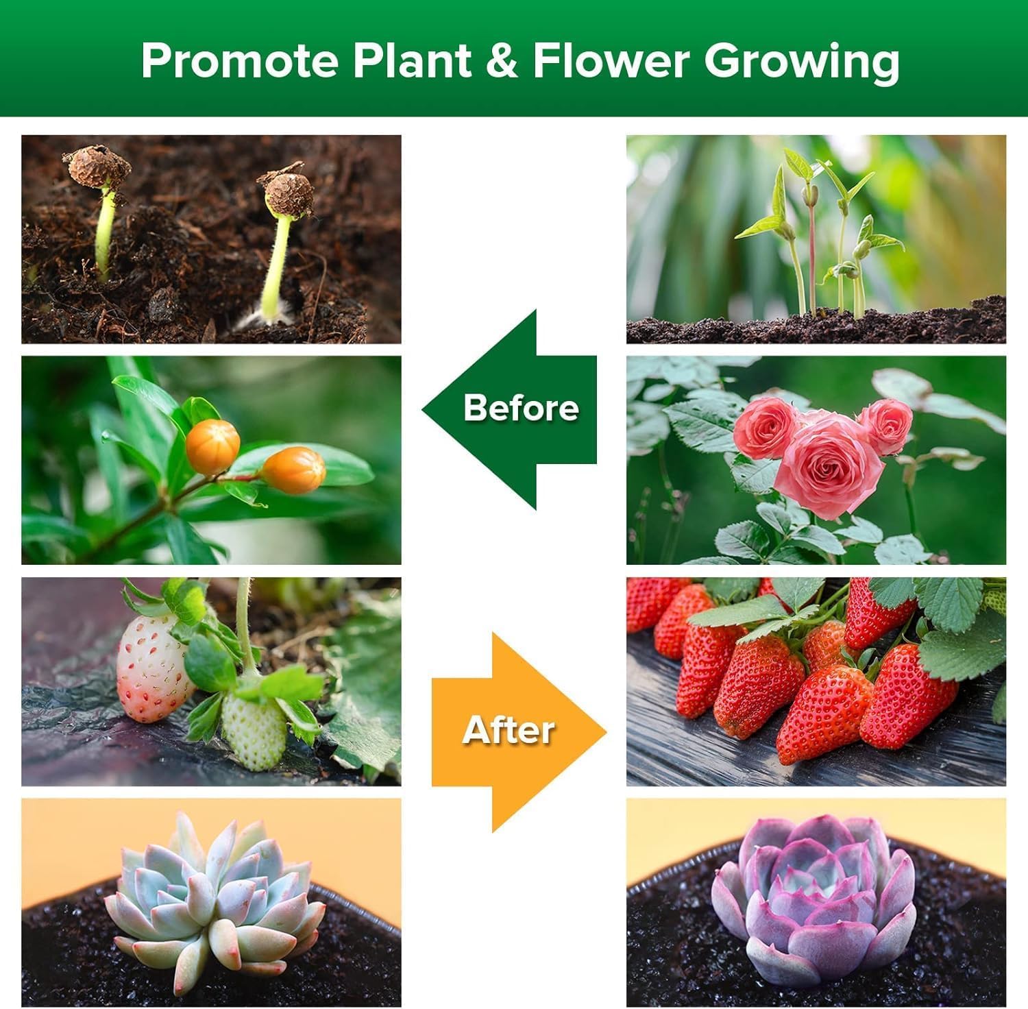 Thumbnail 6 de SANSI lampada LED per piante da interno 40W (equivalenti 600W), spettro completo e timer 4/8/12 ore con 4 bracci