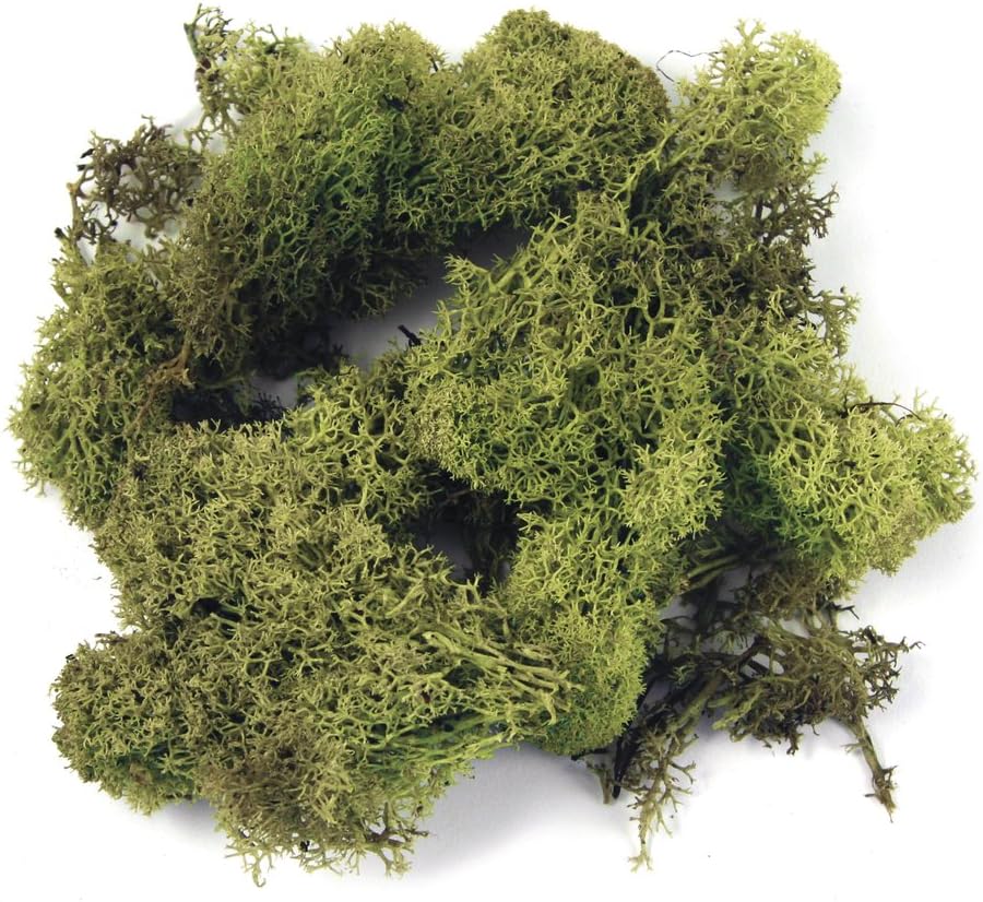 Detalle de Rayher 8500313 mech islandzki, ciemnozielony, naturalny, 1 kg