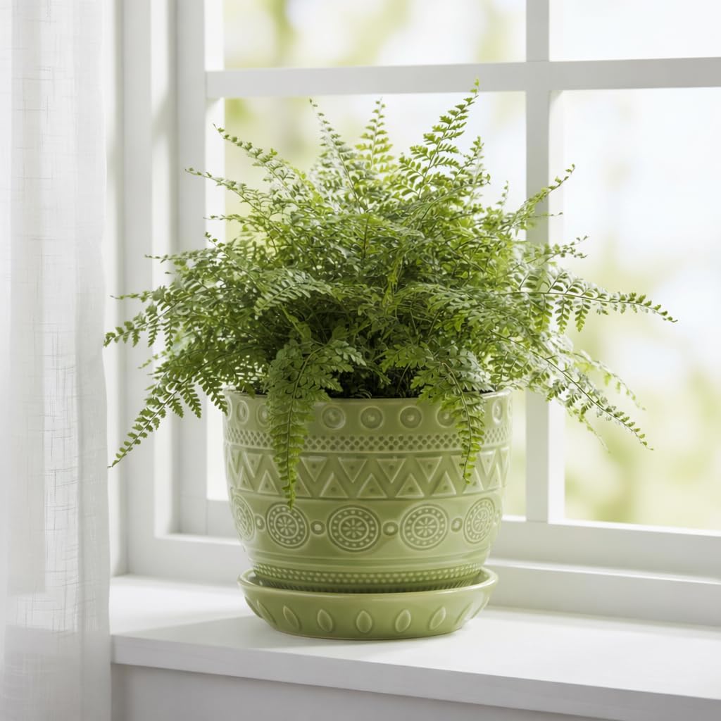 Detalle 2 de EPGardening Ceramic Plant Pot 5.5-Inch