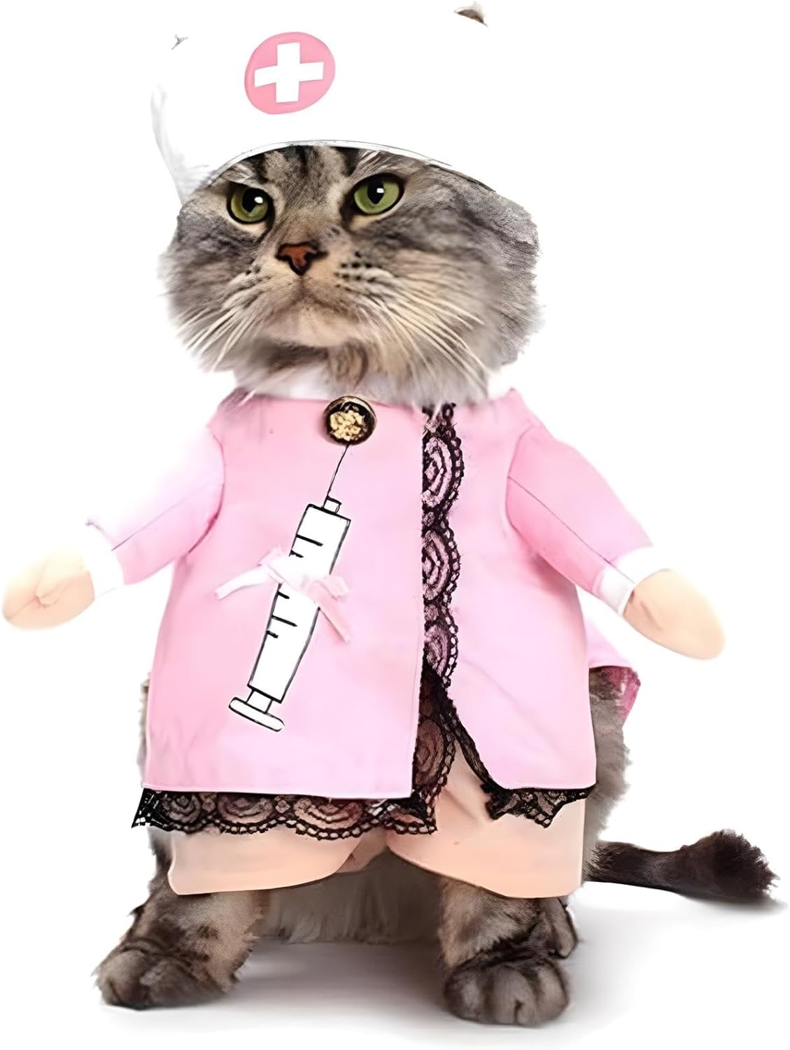 Thumbnail 6 de NACOCO dog costume, size M